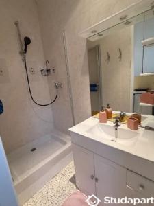 Louer Appartement Sannois 500 euros