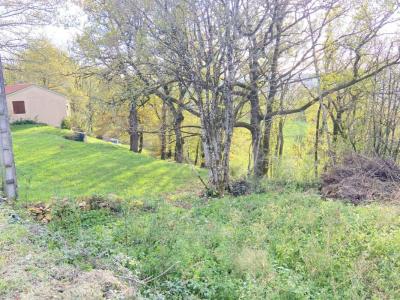 Annonce Vente Terrain Prudhomat 46