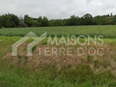 Annonce Vente Maison Lagarde 31