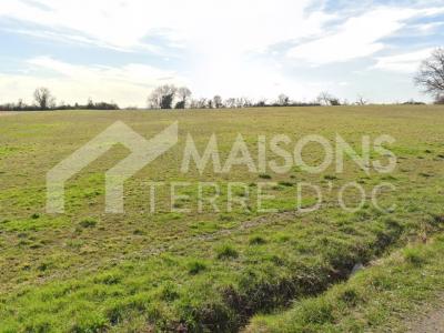 For sale Bruguieres 465 m2 Haute garonne (31150) photo 0