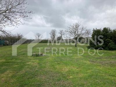 For sale Plaisance-du-touch 564 m2 Haute garonne (31830) photo 0
