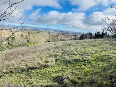 Annonce Vente Terrain Mas-saintes-puelles 11
