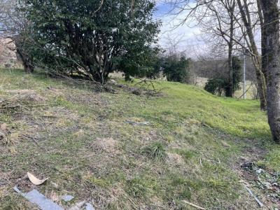 Annonce Vente Terrain Trept 38