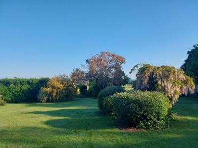 Acheter Prestige Autun Saone et loire