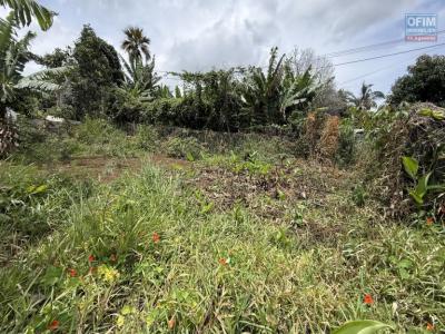 For sale Etang-sale Reunion (97427) photo 2