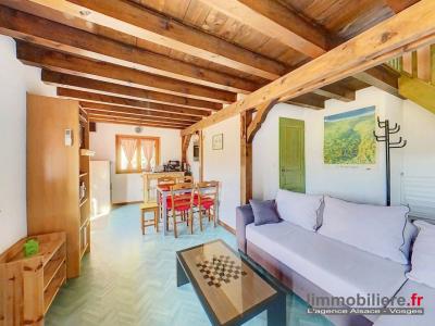 Annonce Vente 8 pi�ces Maison Sainte-croix-aux-mines 68