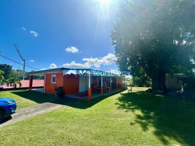 Acheter Maison Moule Guadeloupe