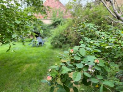 Acheter Maison 138 m2 Cause-de-clerans