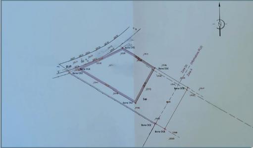 Annonce Vente Terrain Sermaises 45