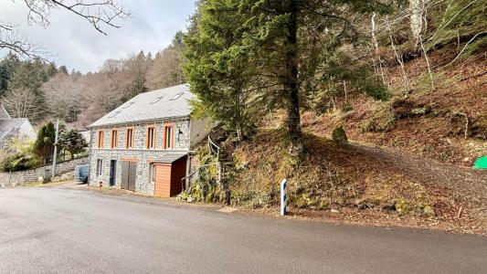 Annonce Vente 9 pi�ces Maison Mont-dore 63