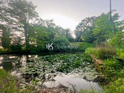 For sale Isle-en-dodon 10 rooms 300 m2 Haute garonne (31230) photo 3