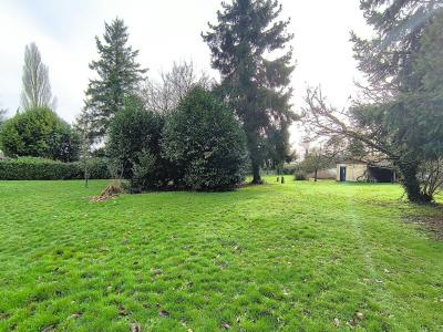 Acheter Maison 147 m2 Feuillie