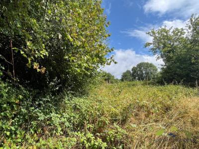 Annonce Vente Terrain Montboucher 23