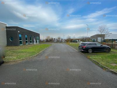 For rent Comines 570 m2 Nord (59560) photo 4