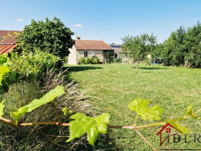 Annonce Vente 2 pi�ces Maison Neuvelle-les-voisey 52