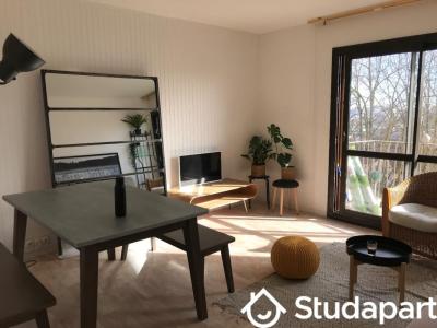 Annonce Location Appartement Palaiseau 91