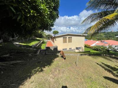 Annonce Vente Immeuble Fort-de-france 972