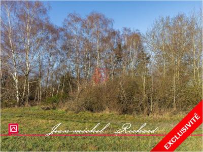 Annonce Vente Terrain Billy 41