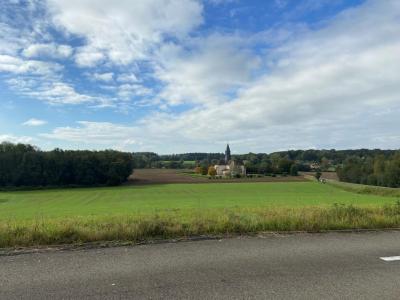 For sale Miroir 967 m2 Saone et loire (71480) photo 0