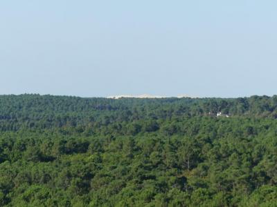 Annonce Vente 4 pi�ces Appartement Arcachon 33