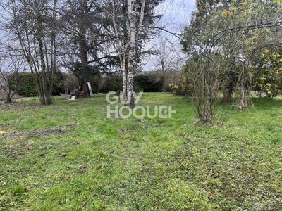 Acheter Terrain Seignelay Yonne