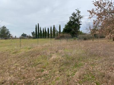 Annonce Vente Terrain Marges 26