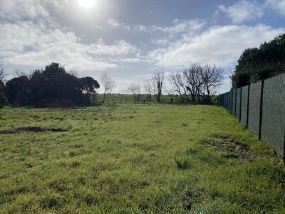 Annonce Vente Terrain Jard-sur-mer 85