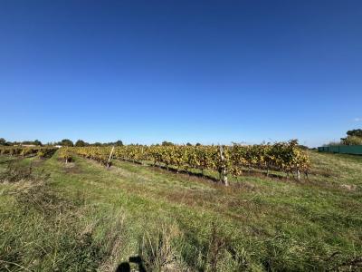 For sale Pout 530 m2 Gironde (33670) photo 1