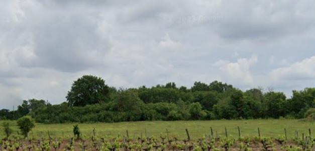 For sale Saint-sulpice-et-cameyrac 900 m2 Gironde (33450) photo 0