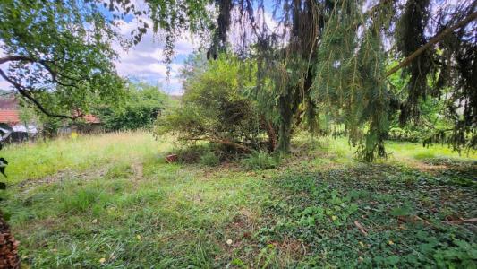 Annonce Vente Terrain Cuise-la-motte 60