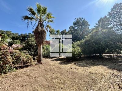 For sale Calenzana 9 rooms 260 m2 Corse (20214) photo 0