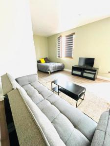 Annonce Location Appartement Saint-etienne 42