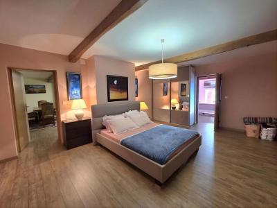 Annonce Vente 15 pi�ces Maison Montauban 82