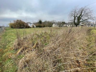 Acheter Terrain 803 m2 Saint-denis-en-val