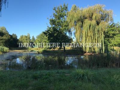 Annonce Vente Prestige Pierrefitte-sur-sauldre 41