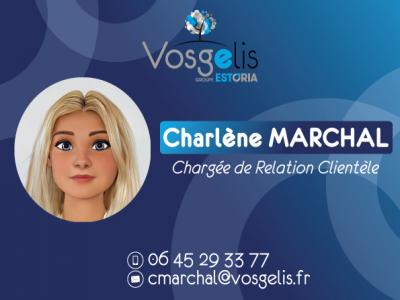 For rent Liffol-le-grand 3 rooms 66 m2 Vosges (88350) photo 1