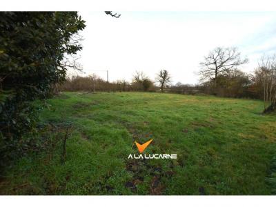 Acheter Maison 121 m2 Chiche