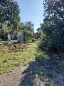 Annonce Vente Terrain Cannet-des-maures 83