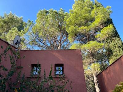 Annonce Vente 12 pi�ces Maison Prades-le-lez 34