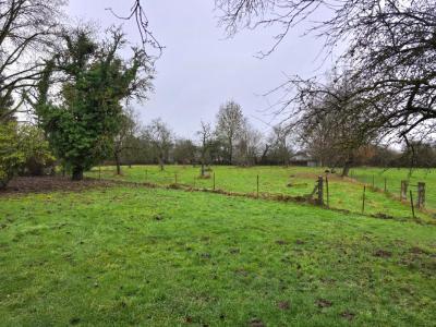 Acheter Maison 130 m2 Mondrepuis