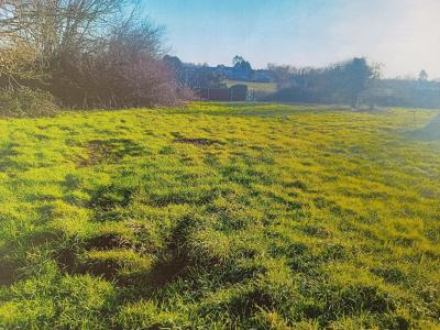 Annonce Vente Terrain Saint-laurent-sur-mer 14