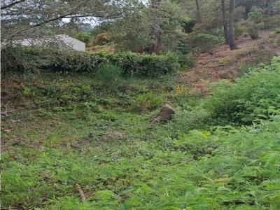 Acheter Terrain Mandelieu-la-napoule 689000 euros