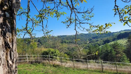 Annonce Vente 6 pi�ces Maison Plazac 24