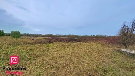 For sale Chaillevette 1186 m2 Charente maritime (17890) photo 1