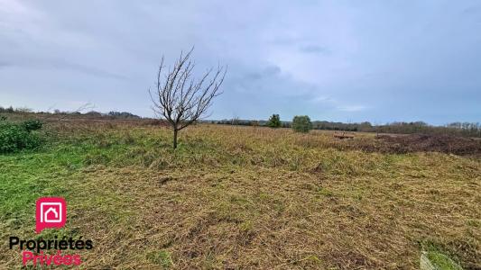 For sale Chaillevette 1186 m2 Charente maritime (17890) photo 2