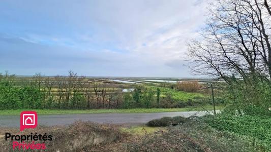 For sale Chaillevette 1186 m2 Charente maritime (17890) photo 3
