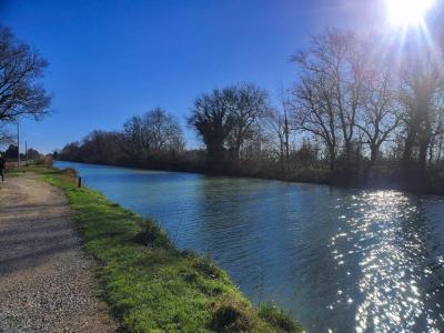 Annonce Vente 6 pi�ces Maison Lasbordes 11