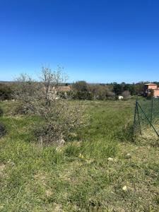 Acheter Terrain 470 m2 Montesquieu-des-alberes