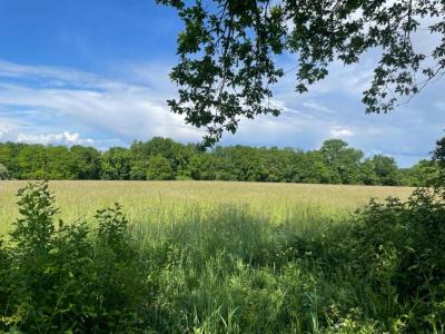 For sale Lege-cap-ferret 1210 m2 Gironde (33950) photo 0