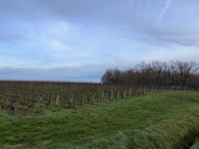 For sale Montussan 551 m2 Gironde (33450) photo 0